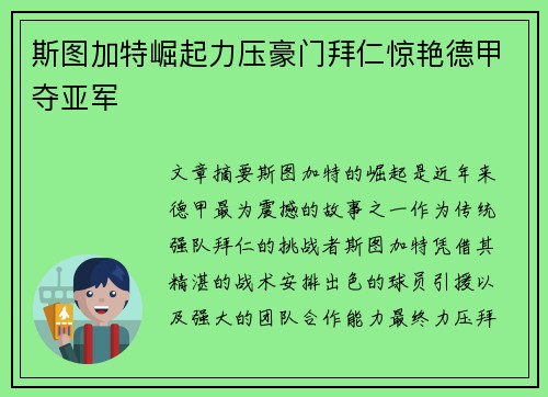 斯图加特崛起力压豪门拜仁惊艳德甲夺亚军
